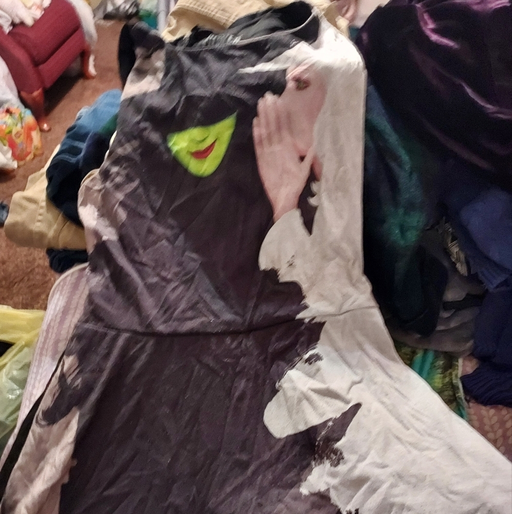 Wicked the musical Broadway dress official